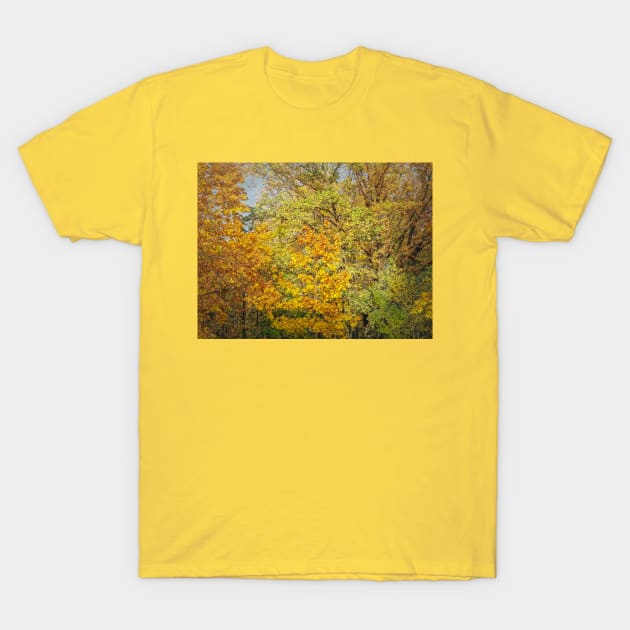 Colorful autumn trees T-Shirt by psychoshadow